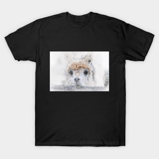 Cute Alpaca Llama Watercolor art T-Shirt